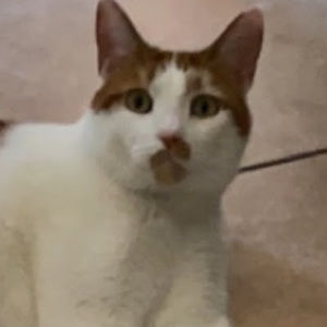 Meet your Posher, Mari